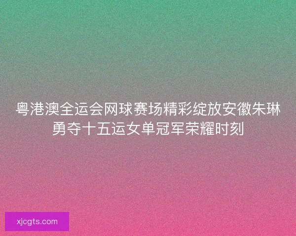 粤港澳全运会网球赛场精彩绽放安徽朱琳勇夺十五运女单冠军荣耀时刻