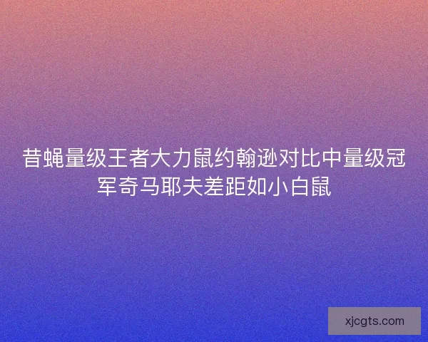 昔蝇量级王者大力鼠约翰逊对比中量级冠军奇马耶夫差距如小白鼠